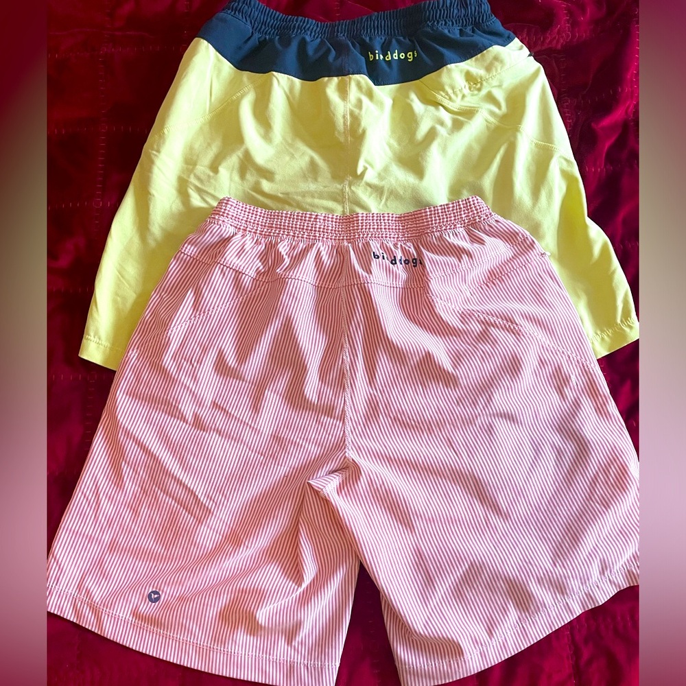 2 Pairs of Birddogs Sz Large Swim trunks